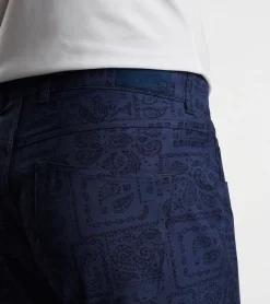 Sale Peter Millar eb66 Delos Paisley Performance Five-Pocket Pant Navy
