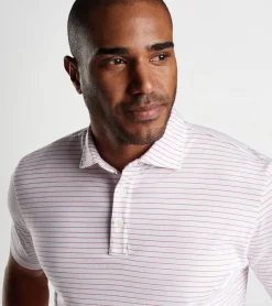 Best Peter Millar Pilot Mill Cedar Stripe Short-Sleeve Polo White