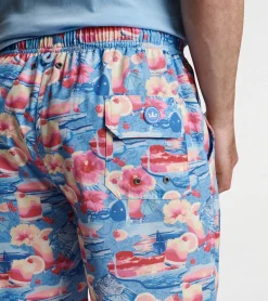 Sale Peter Millar Tequila Sunrise Swim Trunk Infinity